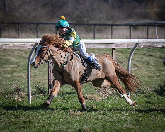 Pony Races (24 of 112)