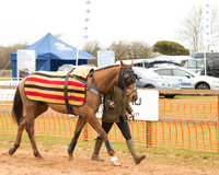 Race 6 - Open Maiden (7 of 120).jpg