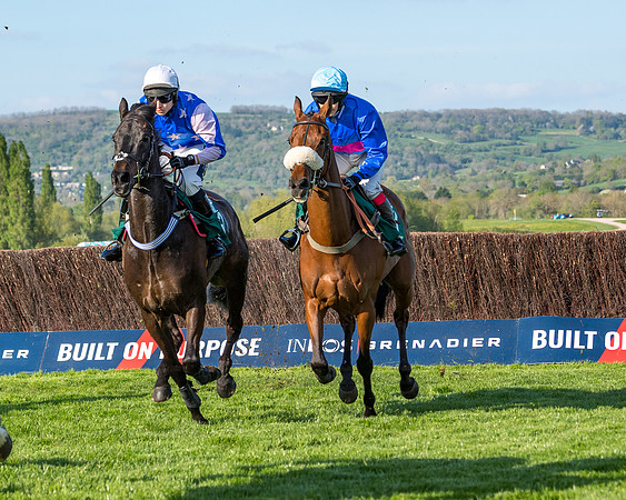 Race 3 - KTDA Hunters' Steeple Chase  (119 of 226)