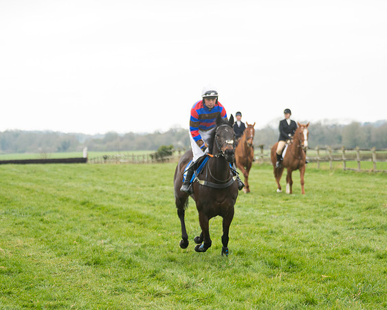Race 3 - Open maiden  (11 of 273)