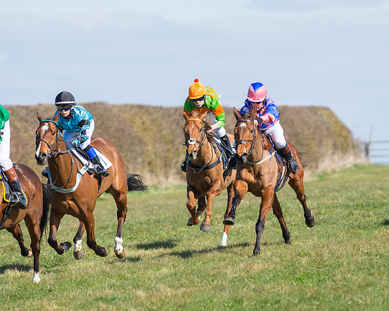 Oakley Ponies (78 of 96).jpg