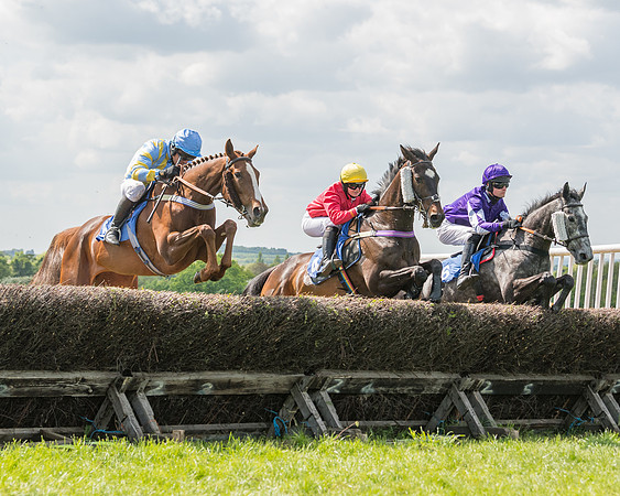 Race 2 - Restricted  (42 of 90)