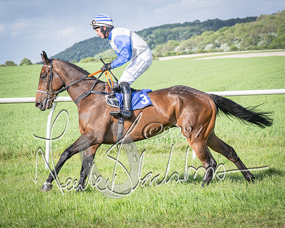 Race 6 - Thorn Plant Hire Maiden Race (35 of 129)