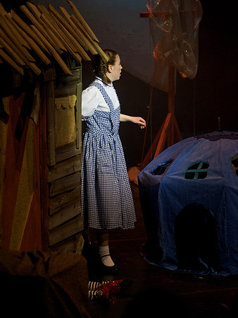 The Wizard of OZ -  49