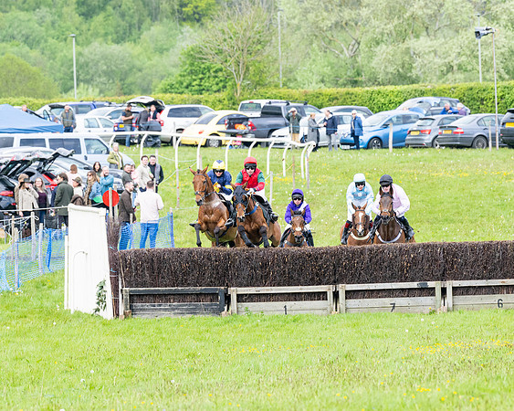Race 2 - Veteran Horse (3 of 80)