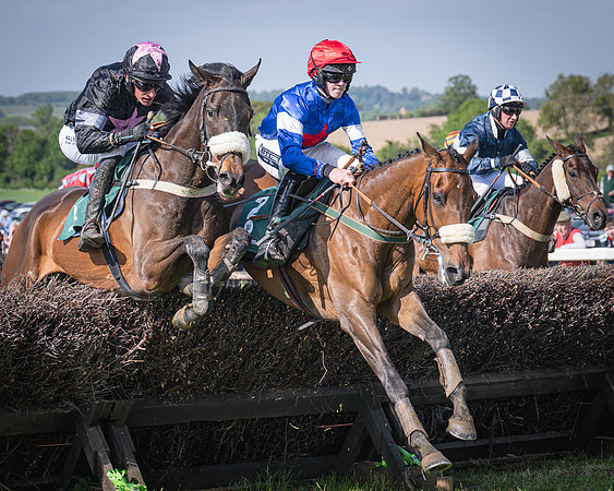 Race 5 - Restricted (62 of 116)