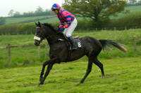 Race 5 - Restricted 11