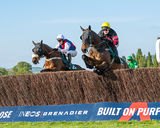 Race 3 - KTDA Hunters' Steeple Chase  (129 of 226)