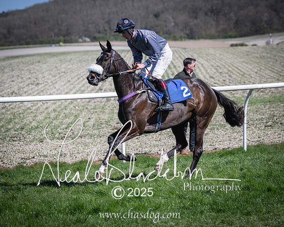 Race 2 - The Maiden (38 of 118)