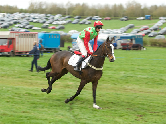 Race 6 - Maiden  39