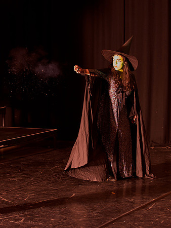 The Wizard of OZ -  176