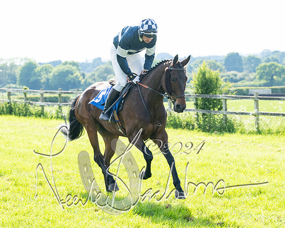 Race 5  - Maiden race 2m5F Div-2 (73 of 205)