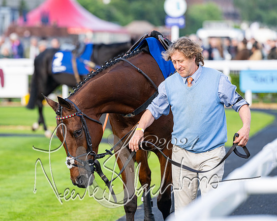 Race 4 - Stratford Foxhunters (9 of 145)