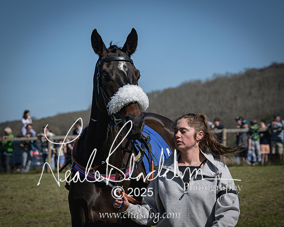 Race 2 - The Maiden (21 of 118)