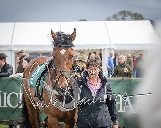 Race 3 - 5 years old and Over Maiden Race (9 of 130)