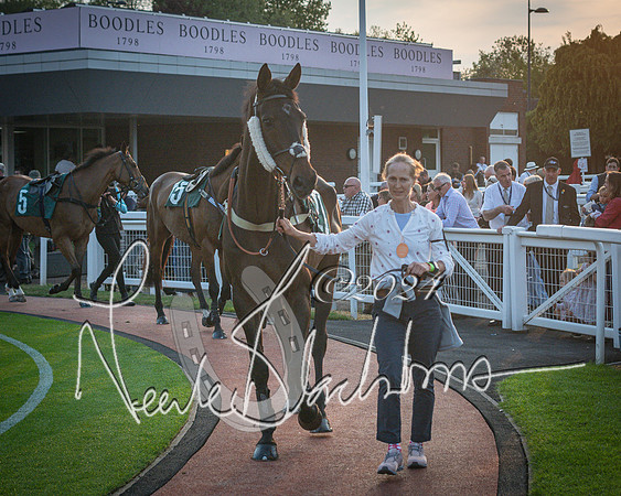 Race 6 - The Brooklands watches Golden Miller chronograph open hunter’s steeplechase 4m 97y (48 of 396)