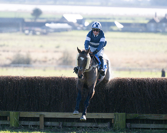 Race 1 - Veteran Horse (57 of 62)
