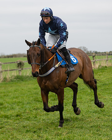 Race 2 - Veteran Horse (13 of 153)