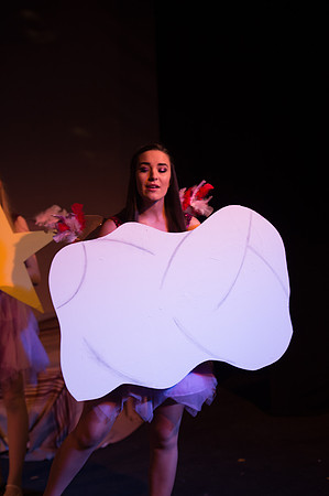 Peter Pan 19feb (2 of 452).jpg