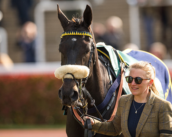 Race 2  -  Intermediate Point to Point Hunters' Steeple Chase (24 of 277)