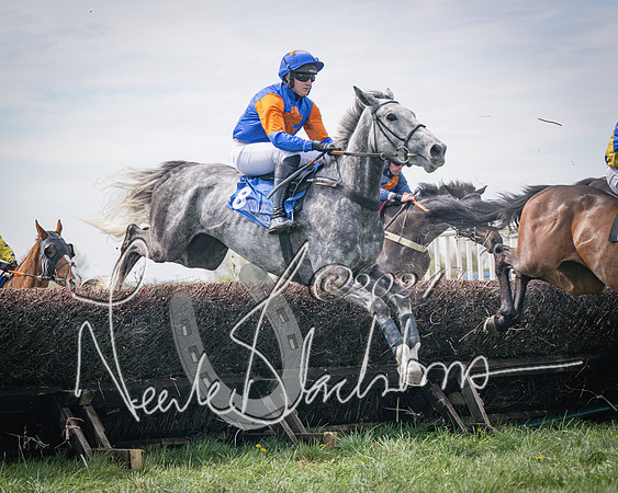Race 2 - The Elliott of London maiden race (42 of 137)