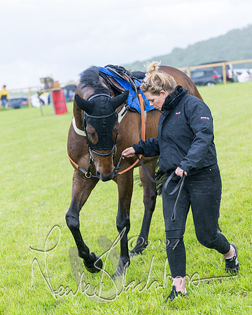 Race 1 - Owner-Trainer Conditions  (9 of 392)