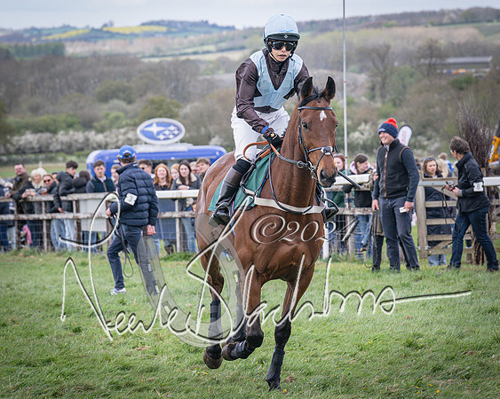Race 3 - 5 years old and Over Maiden Race (26 of 130)