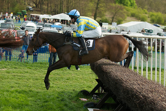 Southern Grand National  28