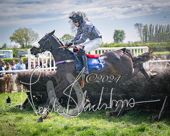 Race 2 - The Elliott of London maiden race (78 of 137)