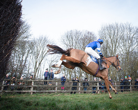 Race 2 - Maiden (53 of 145)