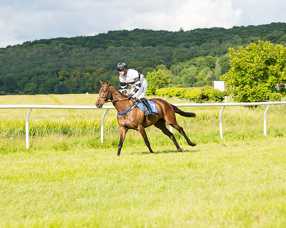 Race 6 - Open Maiden (45 of 227)