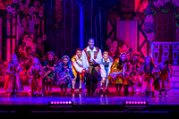 Swan Panto 2017