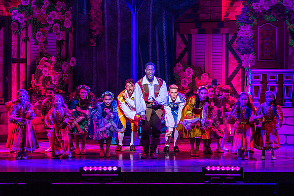 Swan Panto 2017