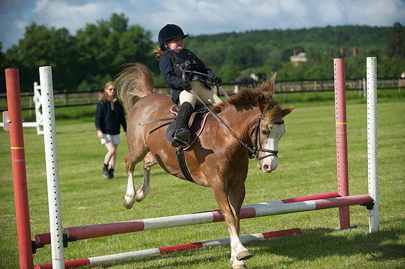 SOHS PC Summer Show at BCA 17th June 2012