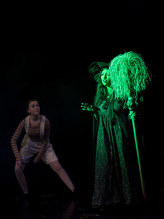 The Wizard of OZ -  292