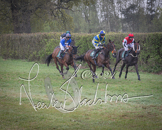 Race 7 - The Jockey Club maiden race for Mares and Fillies only (36 of 96)