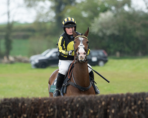Race 2 - Jockey Club ROR veteran Horse (17 of 104)