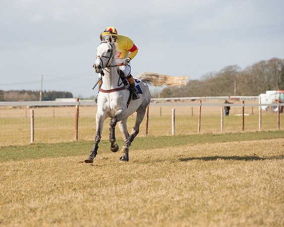 Race 1 - 4-5-6 Maiden (57 of 119).jpg