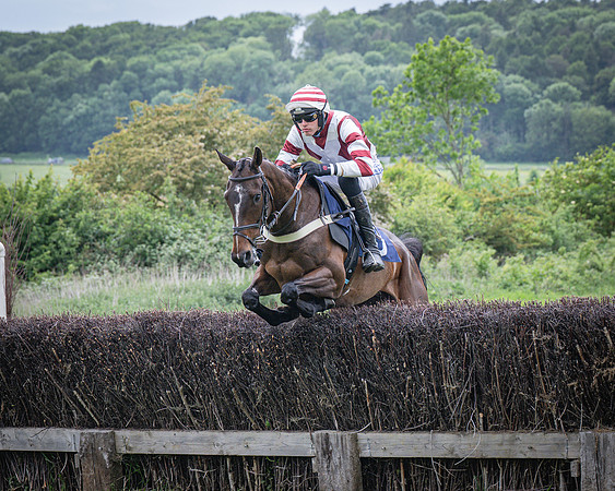 Race 6 - 2M4F Maiden (16 of 85)