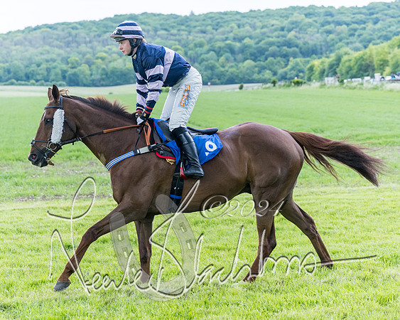 Race 3 - Conditions (114 of 367)