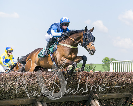 Race 2 - The Maiden  (157 of 442)