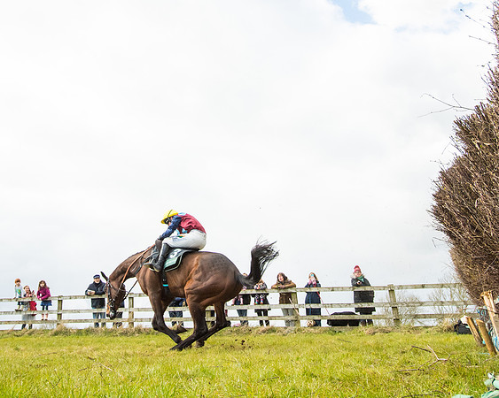 Race 5 - Restricted  (62 of 118)