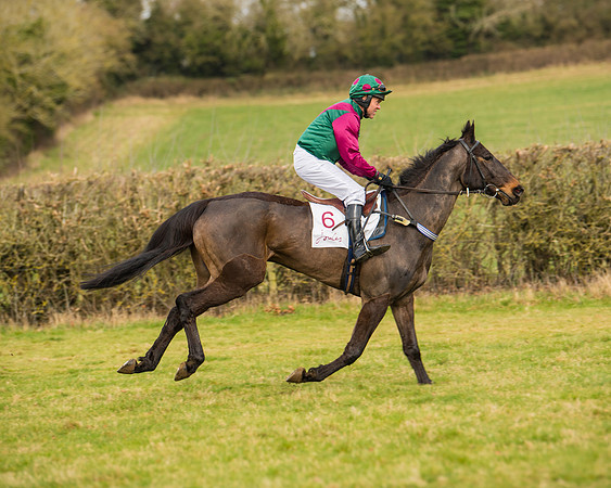 Race 2 - Open Maiden (8 of 128)
