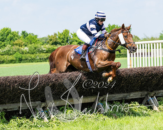 RAce 1 - Conditionsn [Level 2] (98 of 219)