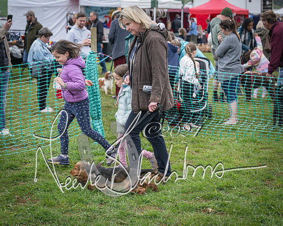 Bicester - Dog Show (83 of 106)