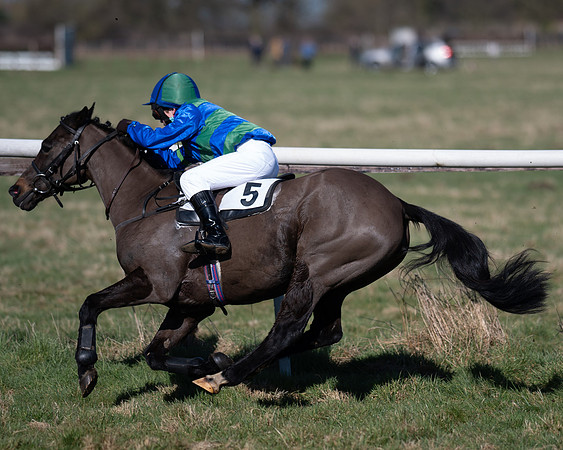 Pony Races (105 of 112)