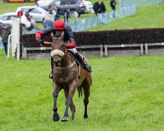 Race 8 - Bumper Div 2 (69 of 84)