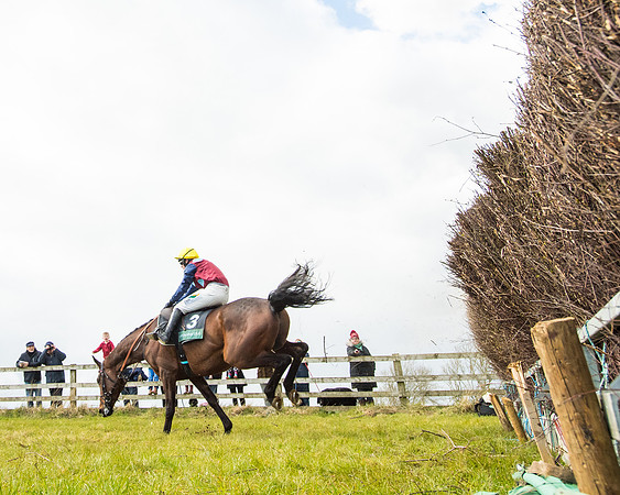 Race 5 - Restricted  (61 of 118)