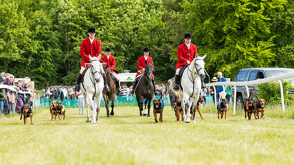 Hound Race  (8 of 49)