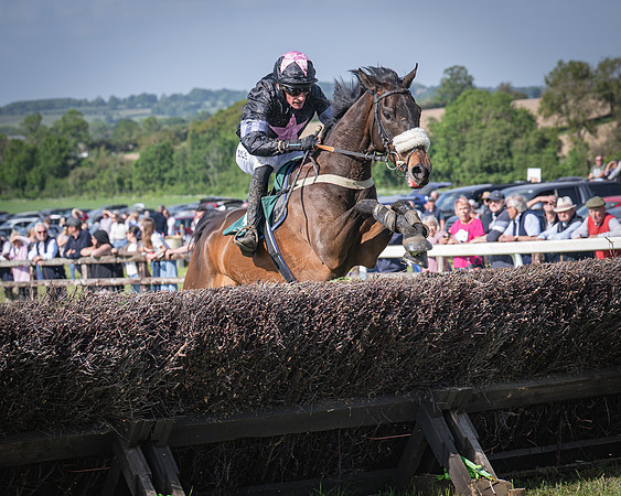 Race 5 - Restricted (71 of 116)